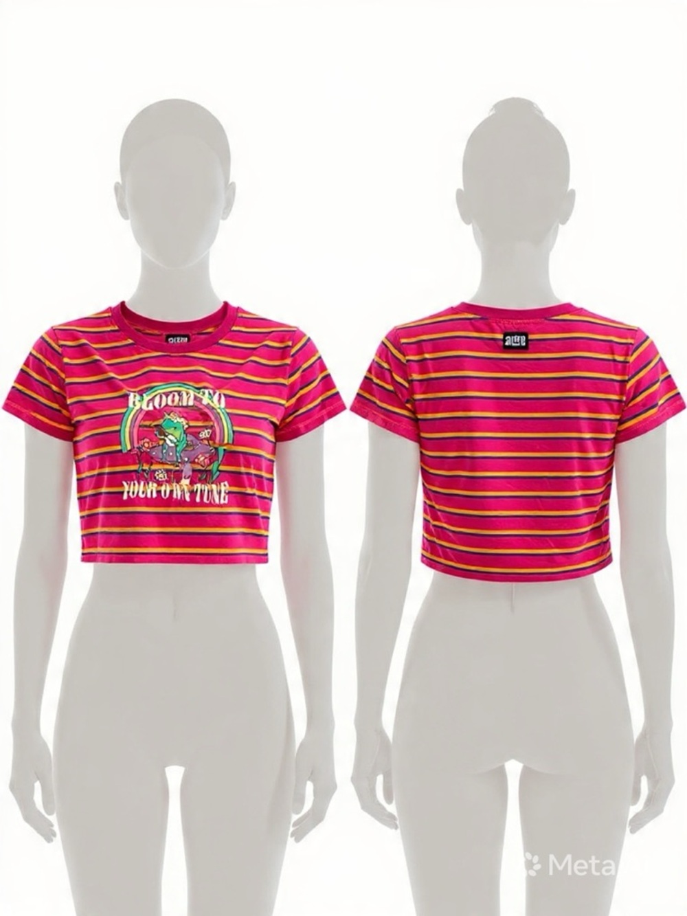 Alab  Pink Striped 'Bloom To Your Own Tune' Graphic Crop Top-A02